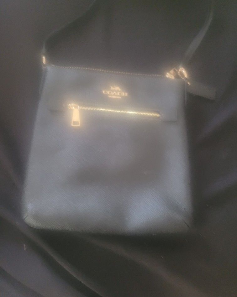 Coach Bags And Shoes