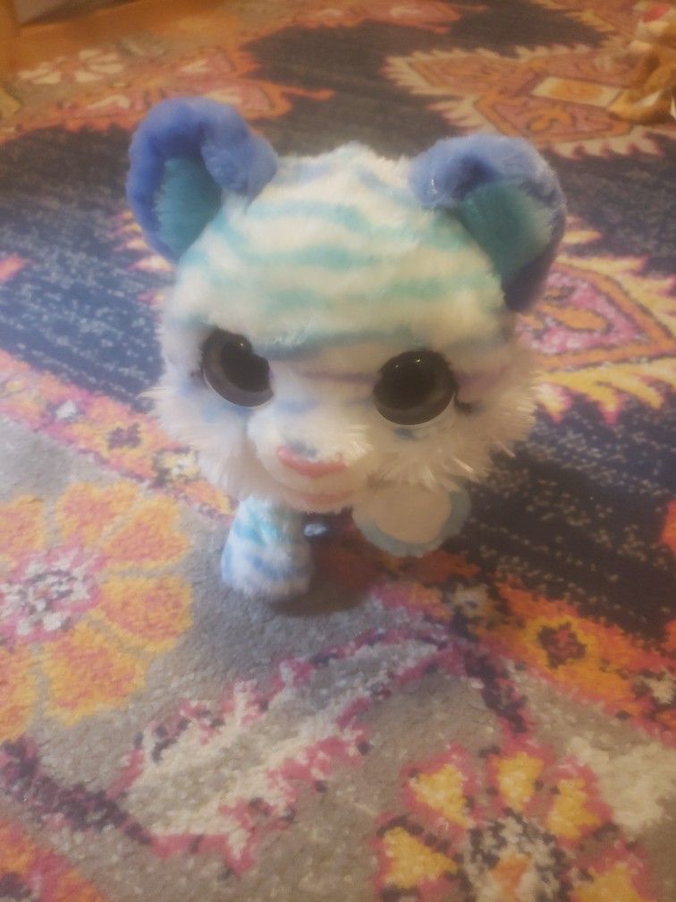 Animal Alive Baby Tiger