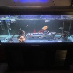 Fish Tank With Stand 
