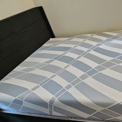 Queen Bed/Mattress 