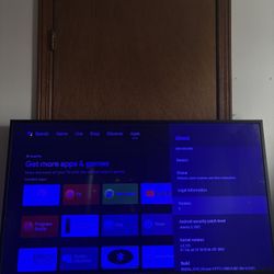Sony Bravia XBR Tv 49 Inch 