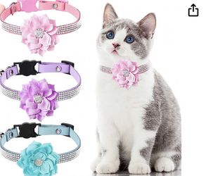 Cat Collars And Dogs