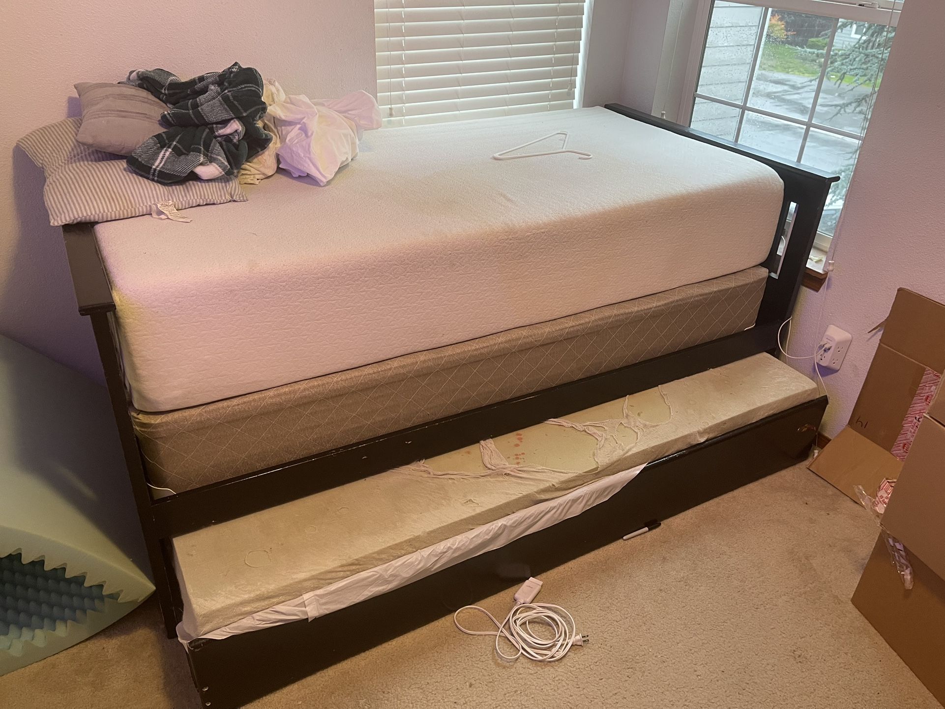 Bed Frame With Pullout Bed