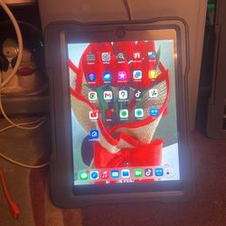 Apple  iPod 