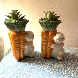 Bunnies With Succulents