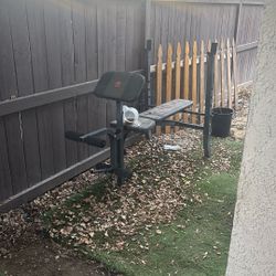 Weight Bench 