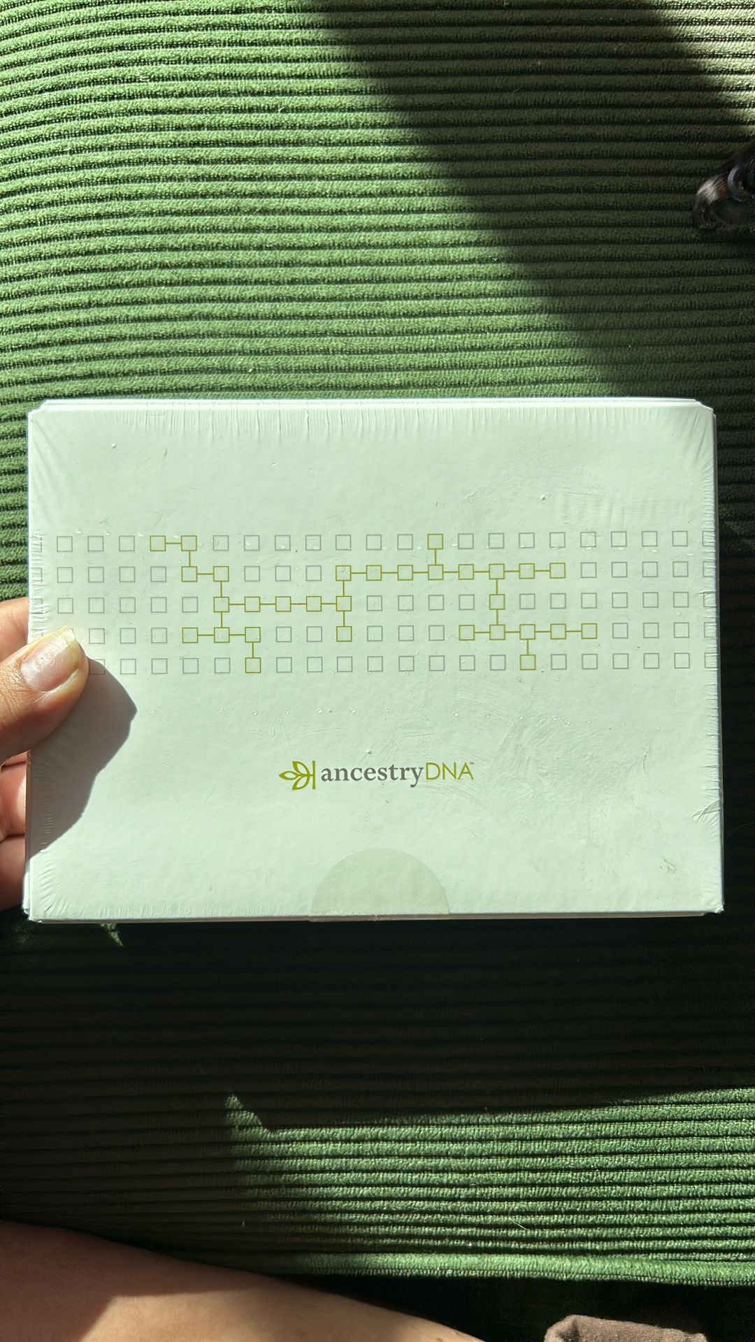 Ancestry DNA Kit!