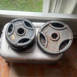 Six 10 Pound/Two 25 Pound Olympic Barbell Plates
