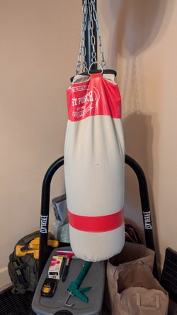 PUNCHING/KICKING BAG