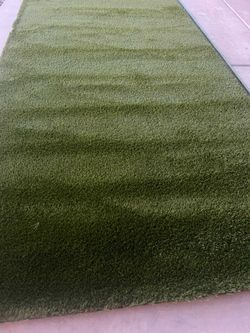 New Puppy Turf