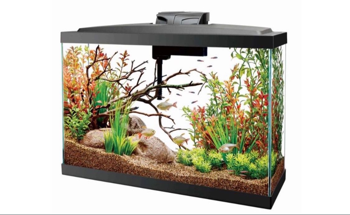 Aqueon 13 Gallon Widescreen Aquarium