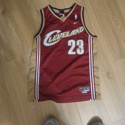 LeBron James Jersey