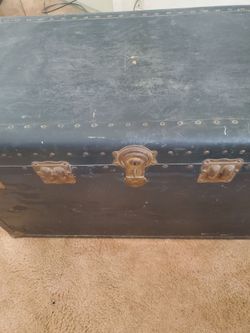 Large trunk