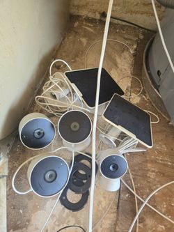 google nest cameras