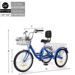 Trike  3 Wheel Bike 