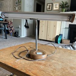 Mid Century Modern 1970s Desk Lamp (works)