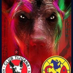 Xolos V America