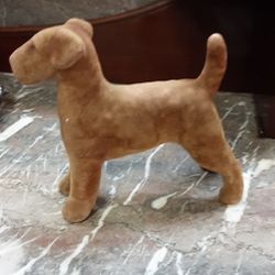 Mohair Dog- Located In Shelton 