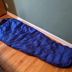 Feathered Friends Egret 850+ Sleeping Bag 