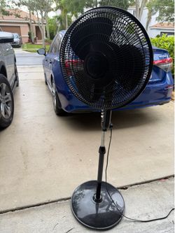 Standing Fan