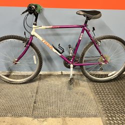 Mountain Bike Trek 26”