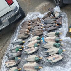 Decoys