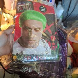 NEW Joker Wig $10, Adult Size