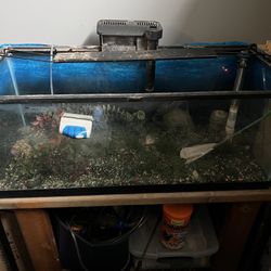 Complete Fish tank Setup With stand