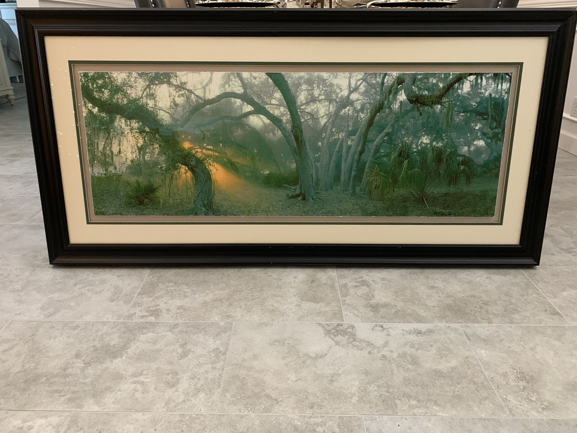 Gorgeous Florida tree & sunrise framed photo