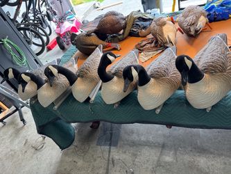 Canada Goose Hunting Decoys Set