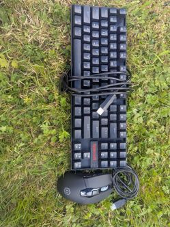 Mouse and keyboard