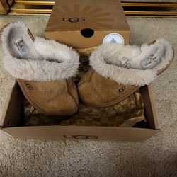 Uggs Women 