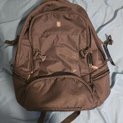 Victorinox VX Sport EVO Deluxe Backpack - Modern Backpack to Carry Travel