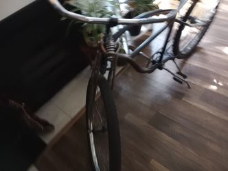 Hollywood Beach Cruiser