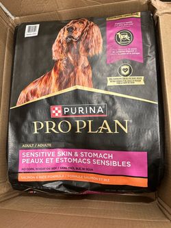 Dog food