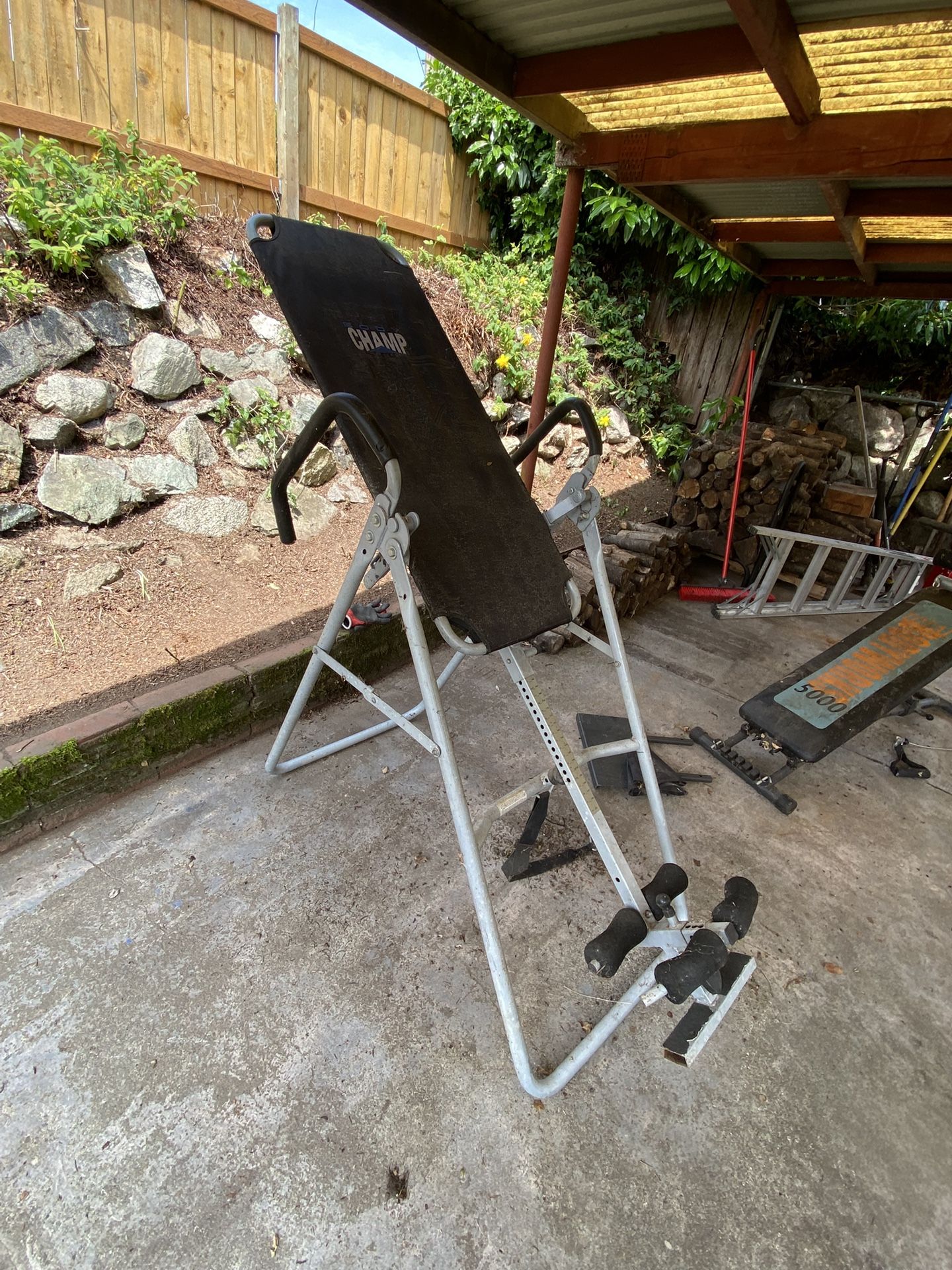 Inversion Table