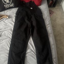 Carhartt 2x Insulated Bibs