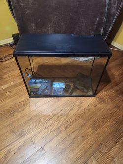 Fish Aquarium