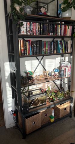 Bookshelf