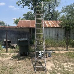 Ladders With Extensión 
