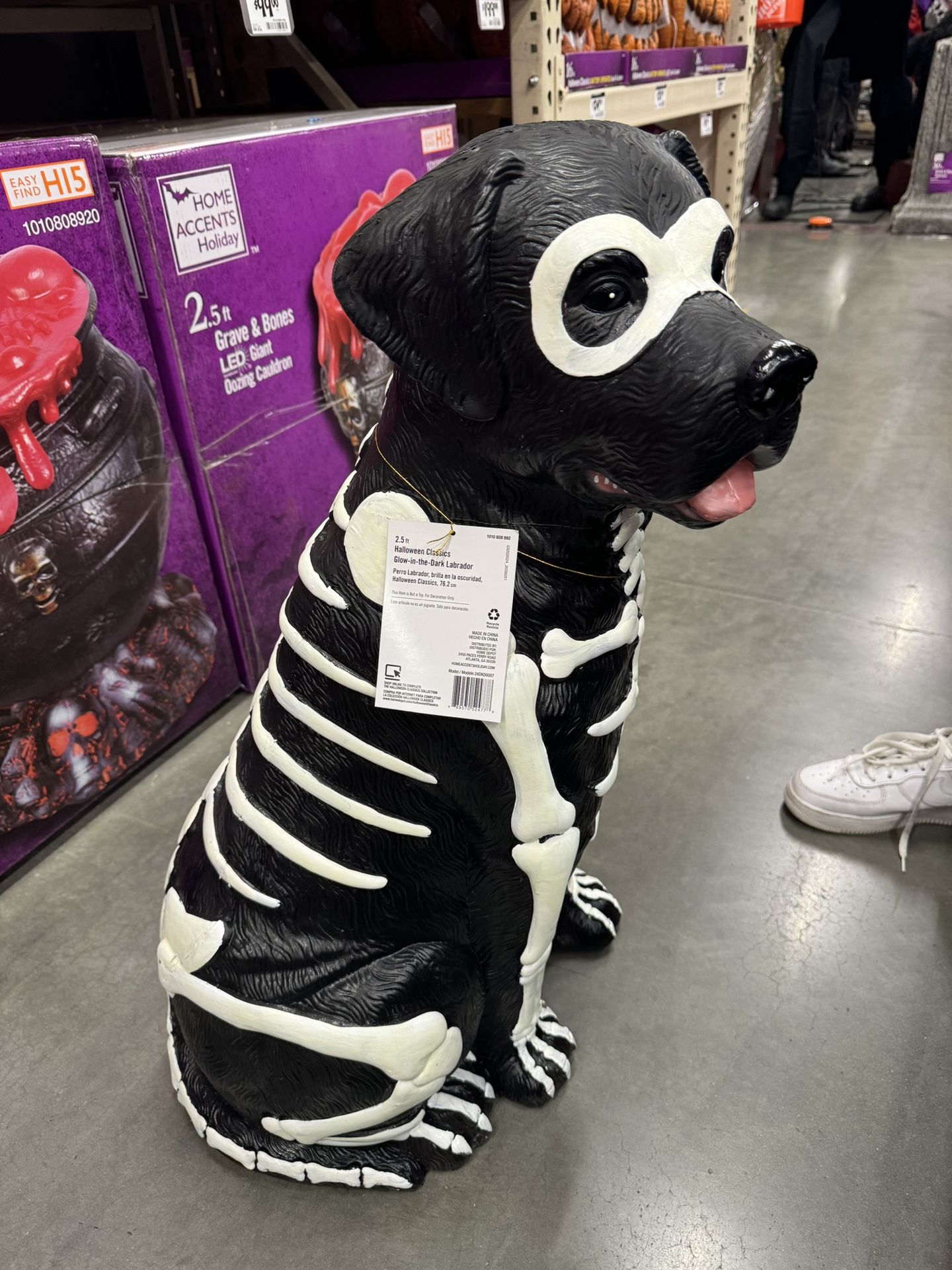 Black Lab Halloween Dog Blow Mold 2024 Home Depot Labrador 2.5 Ft Glow in Dark
