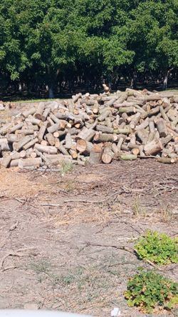 Walnut firewood.