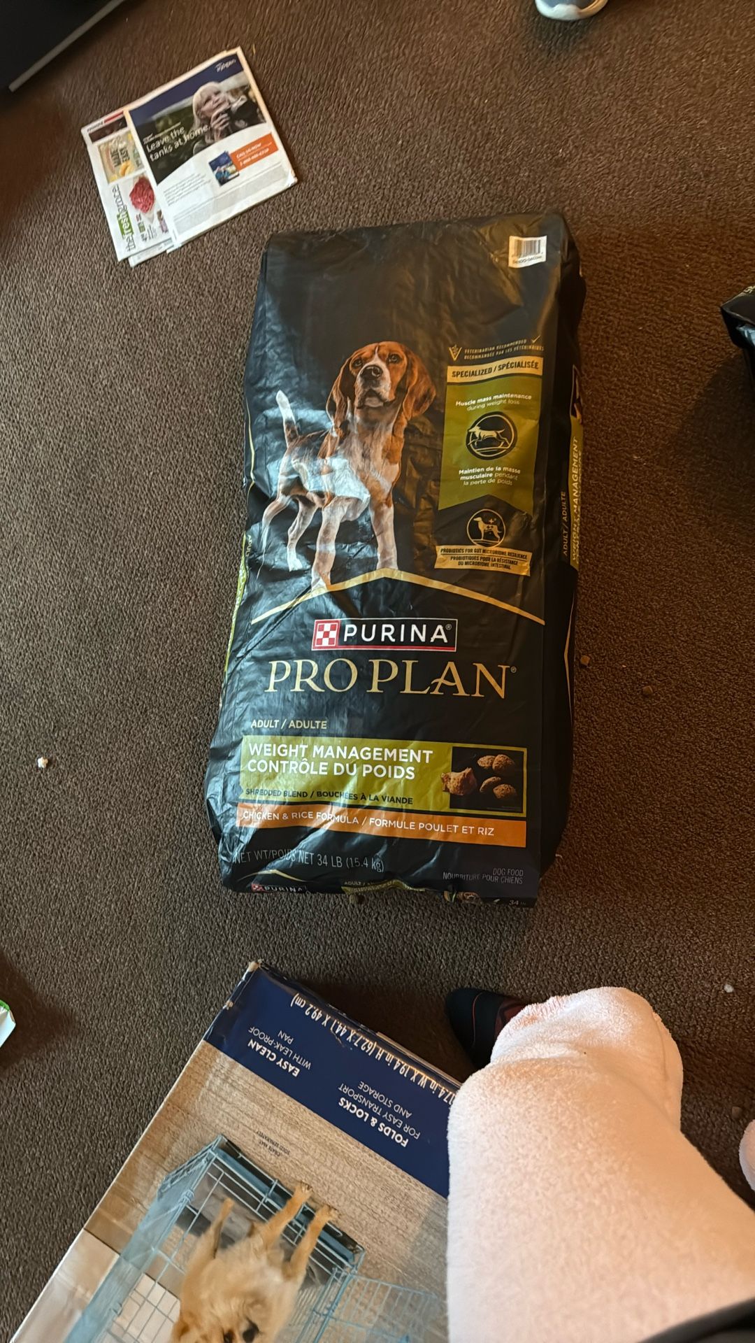Purina Dog Food 35lbs