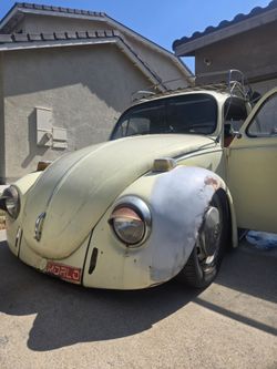 Volkswagen Beetle Classic Project Car