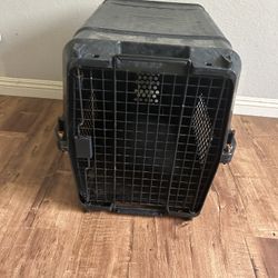 Medium Dog Crate Available