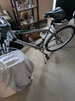 Nishiki Land & Stationary Bicycle.  