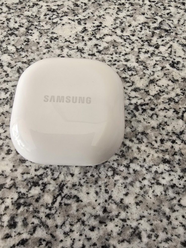 Samsung Galaxy FE Earbuds