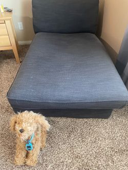 Ikea Chaise Lounge Chair