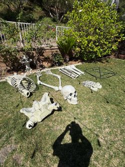 Home Accents Holiday 12-Foot Giant-Sized Skeleton