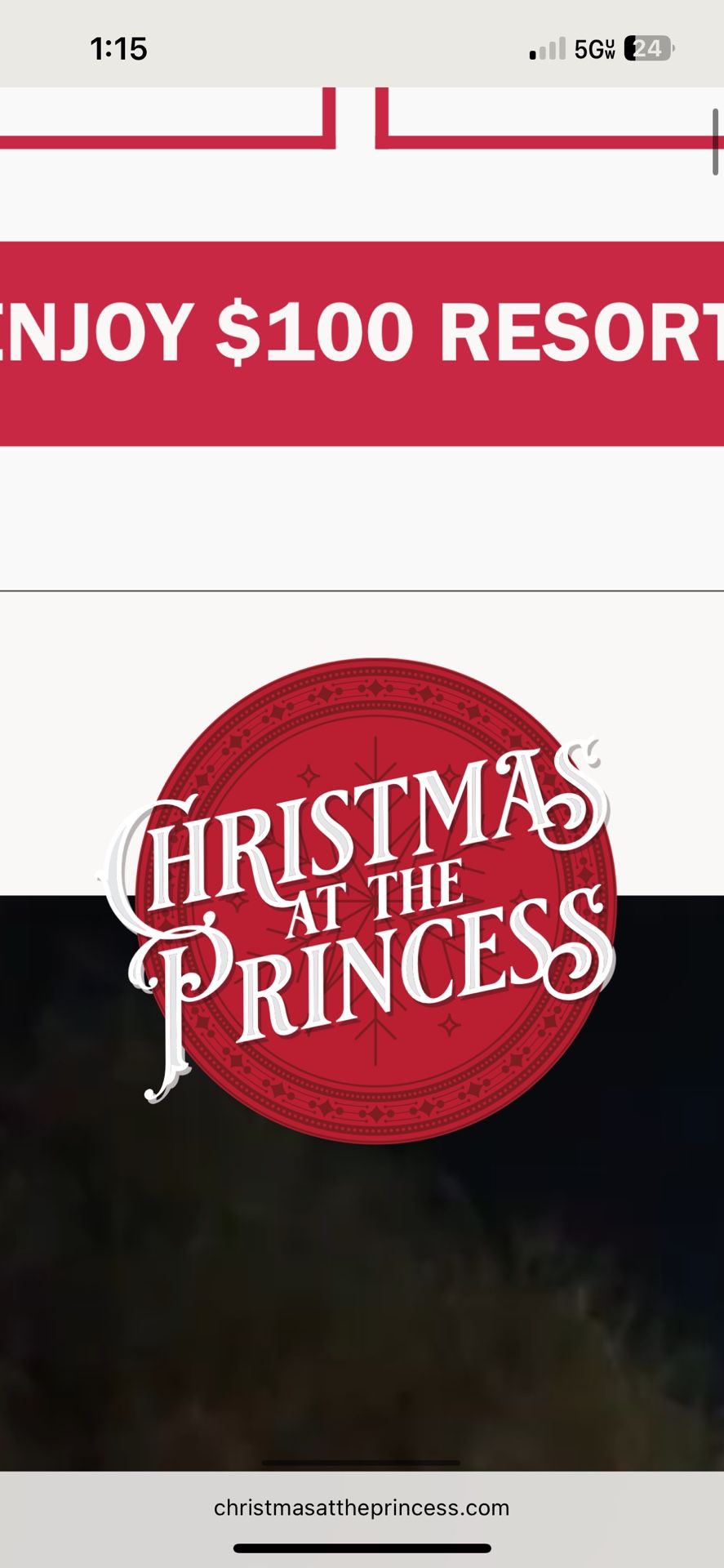 Christmas At The princess Ticket  